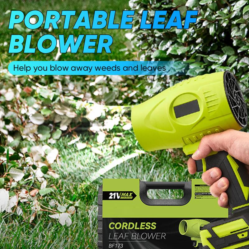 Cordless portable handheld hair dryer