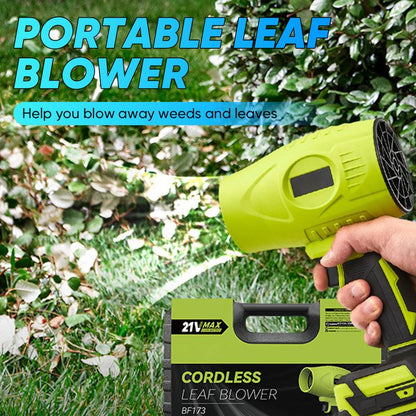 Cordless portable handheld hair dryer